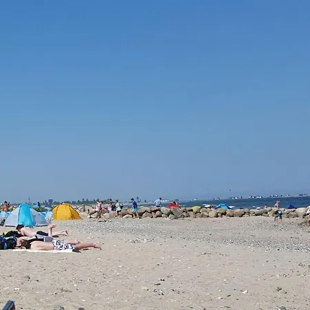 Svala *